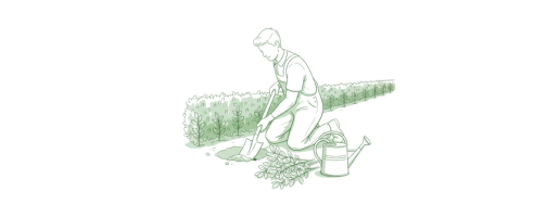 Plantning og pleje