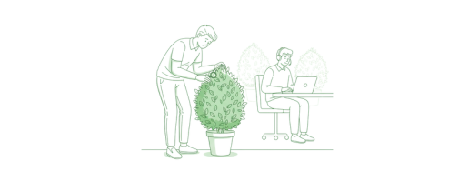 Reklamationer og problemer med planter
