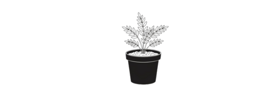 Plante i potte