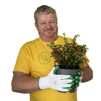 Frank fra vores team
