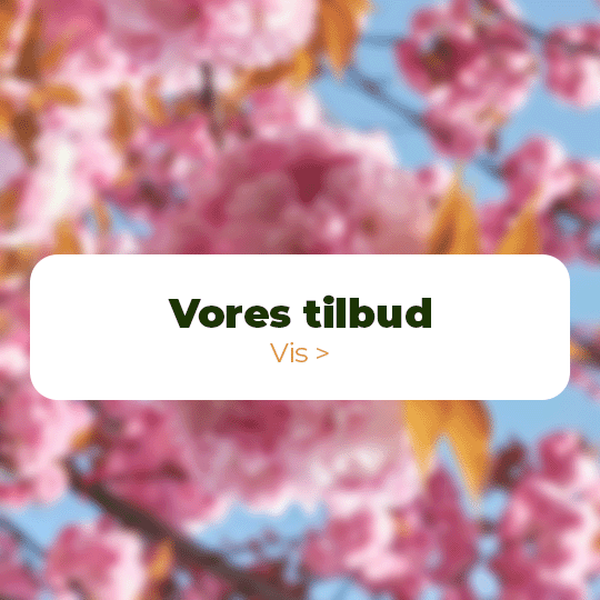 VORES TILBUD