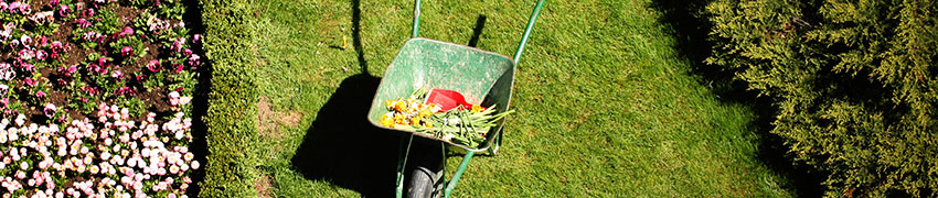 Haveplanter Haveplanter